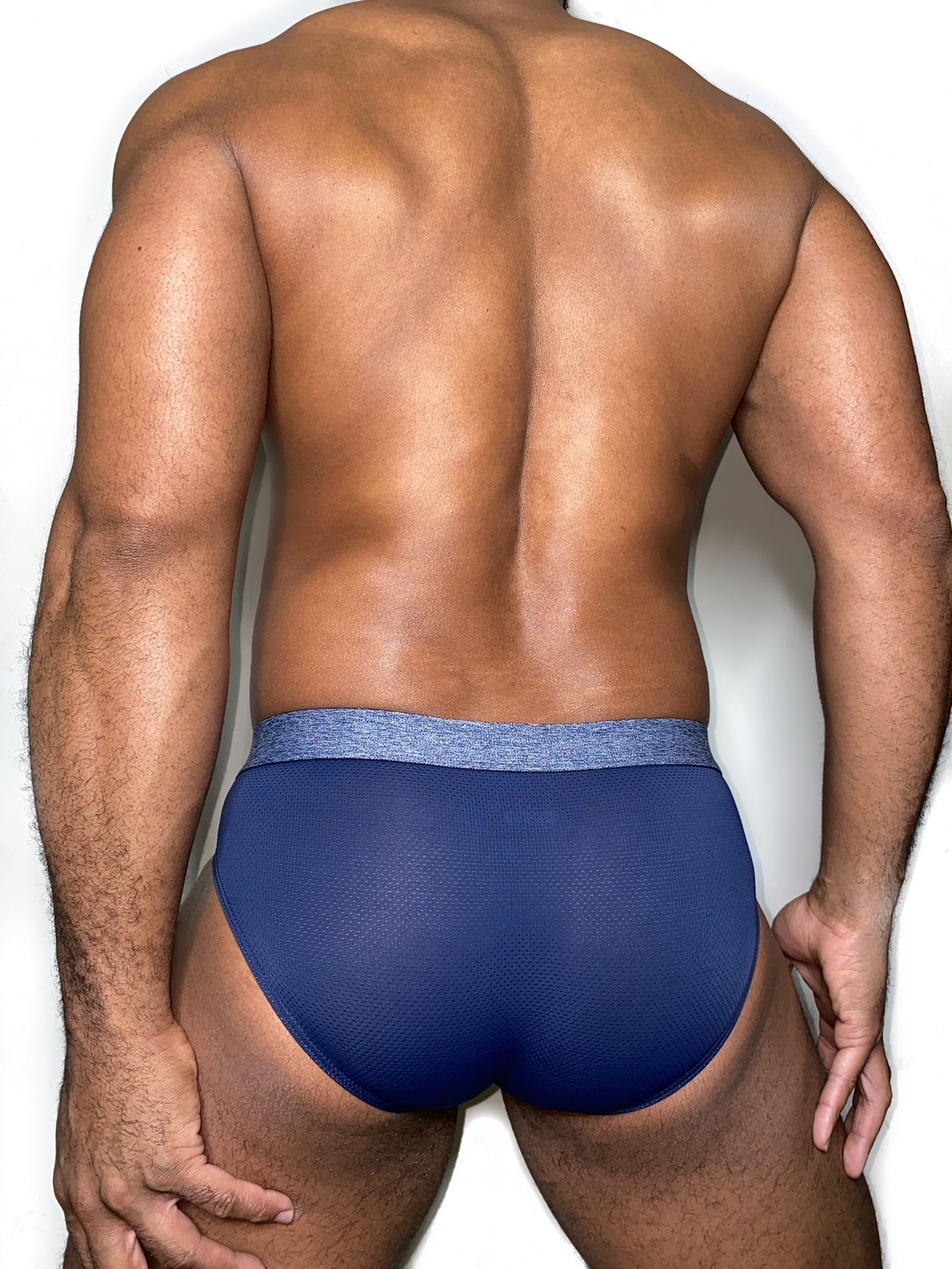 The "Everyday" Micromesh Brief 4 pack