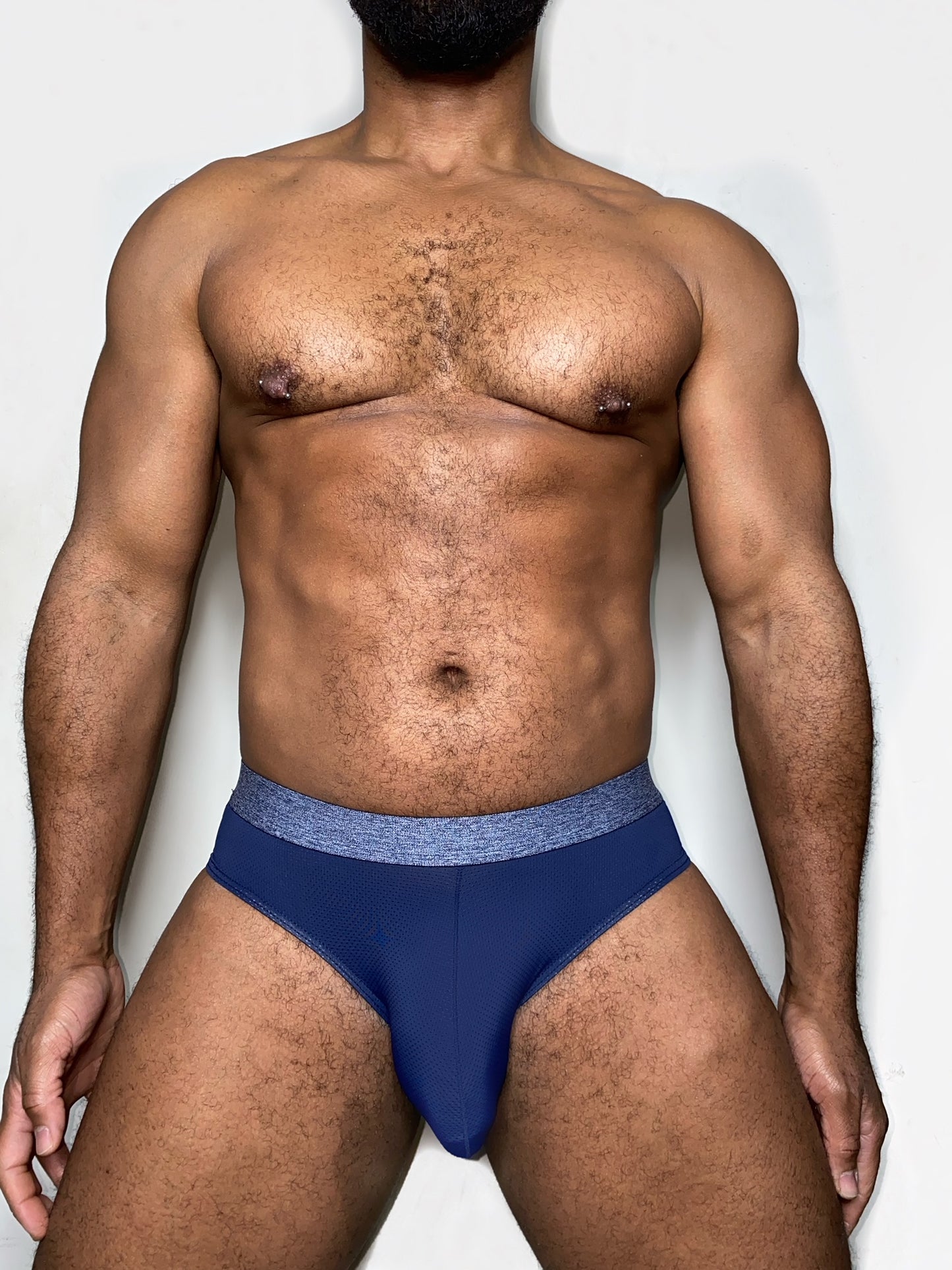 The "Everyday" Micromesh Brief 4 pack