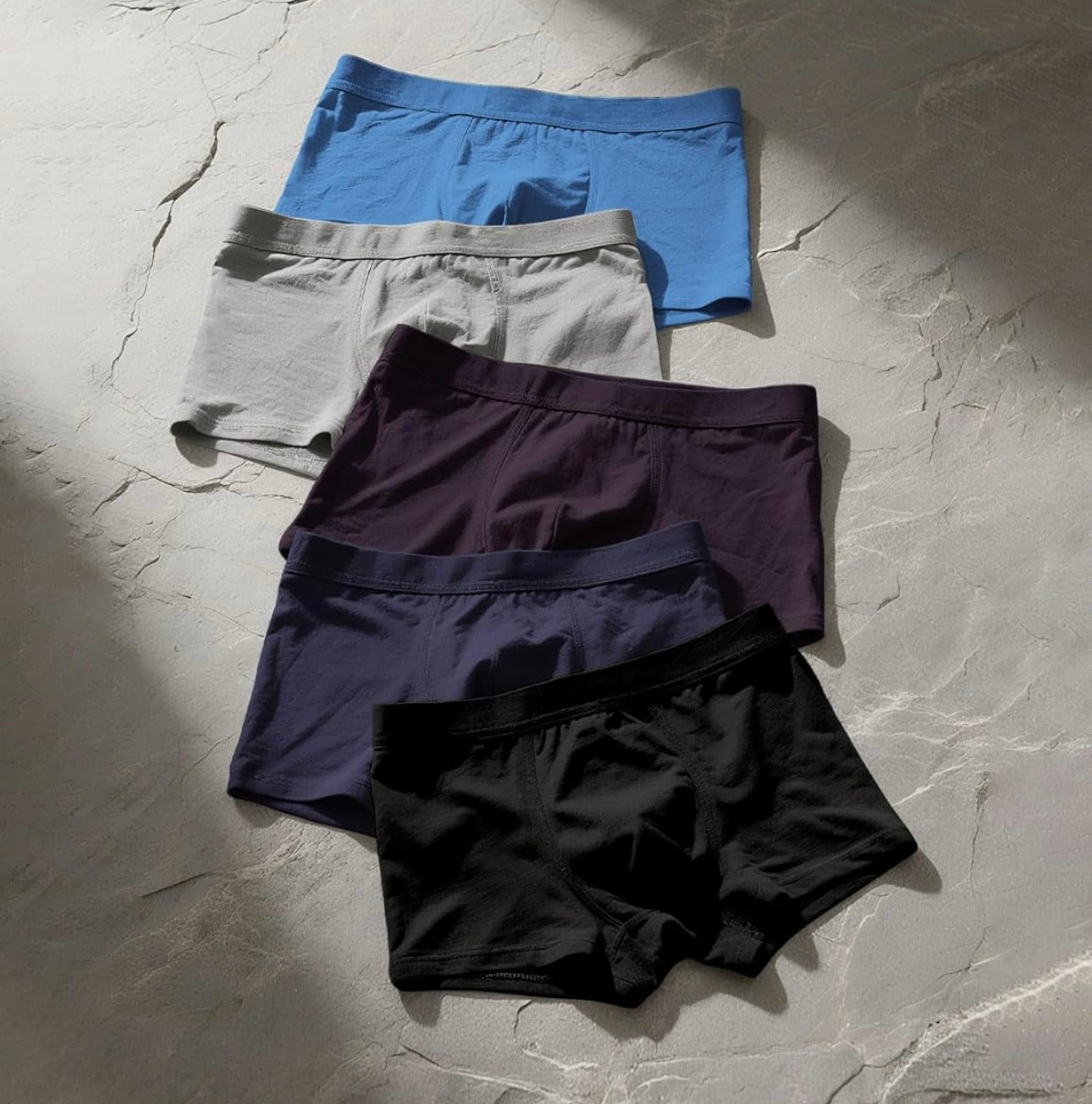 The Essential Boxer Brief