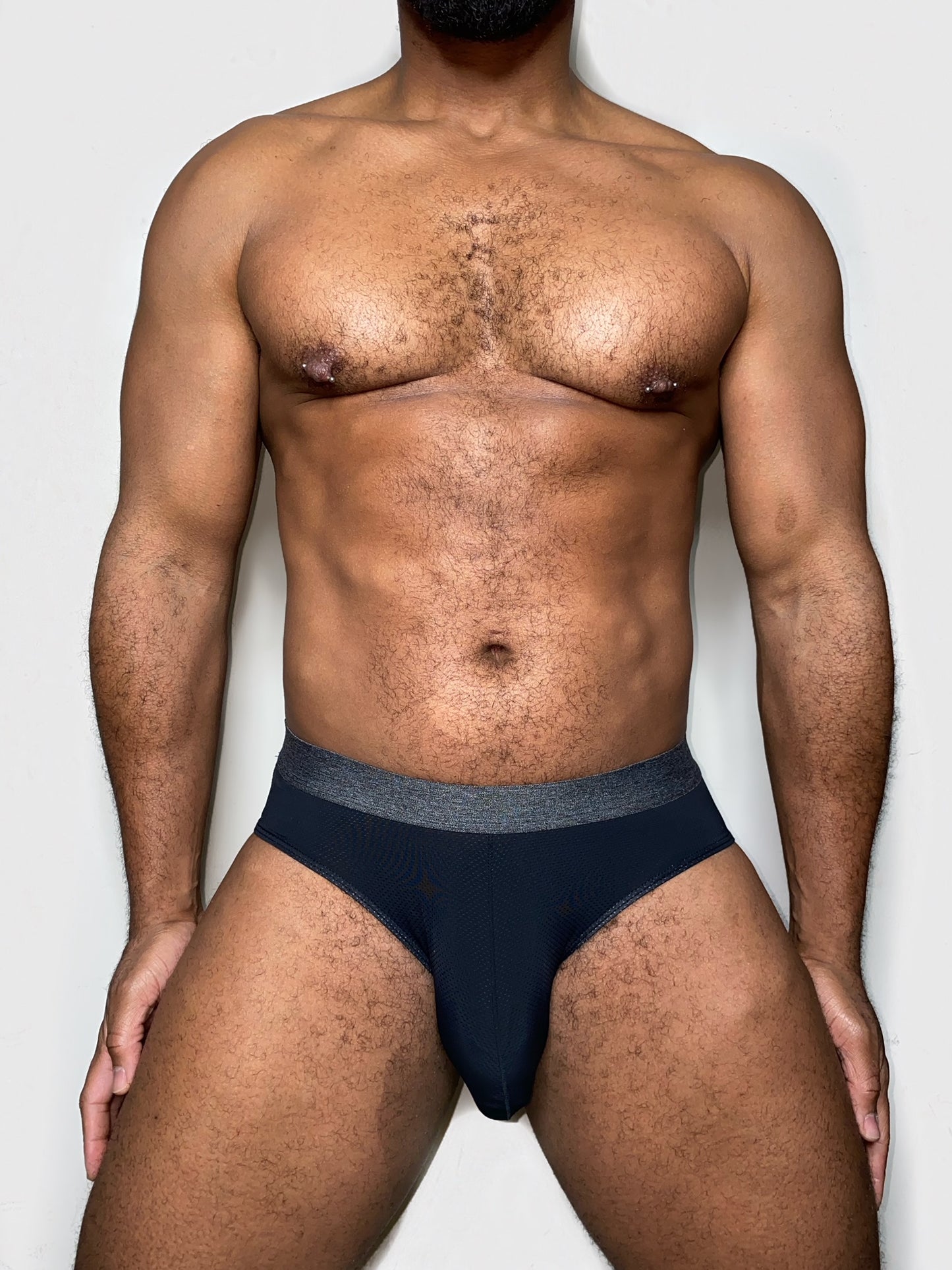 The "Everyday" Micromesh Brief 4 pack