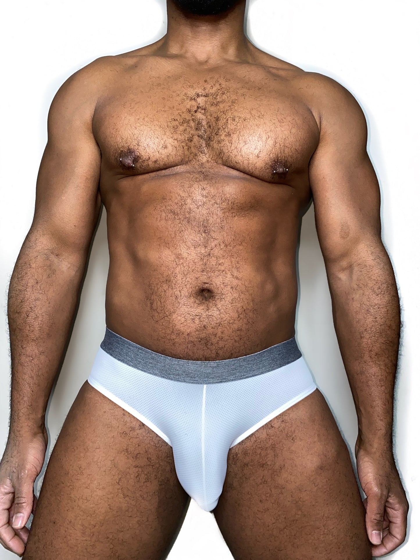 The "Everyday" Micromesh Brief 4 pack